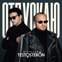 Скачать песню TESTOSTERON - Отпускаю (Radio Edit)