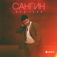 Скачать песню Сангин - Без тебя