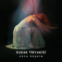 Скачать песню Vefa Seçkin - Dudak Tiryakisi