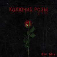 Скачать песню Xisi Alex - Колючие розы