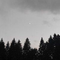 Скачать песню Вечно в кедах - беспомощность