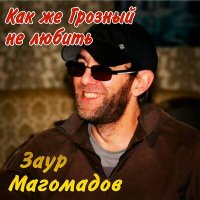 Скачать песню Заур Магомадов - Ты вини себя