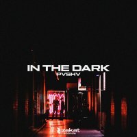 Скачать песню PVSHV - In The Dark