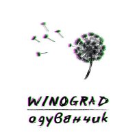 Скачать песню WINOGRAD - Одуванчик