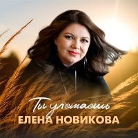 Скачать песню Елена Новикова - Ты улетаешь