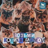 Скачать песню Bubble Bath Cat - Возьми котика домой