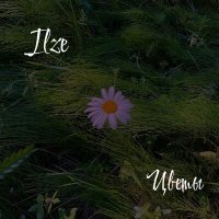 Скачать песню Ilze - Цветы