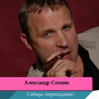 Скачать песню Александр Сотник - Волюшка