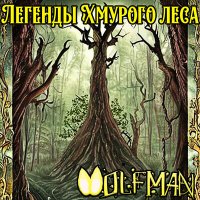 Скачать песню volfman - Бой в ином мире