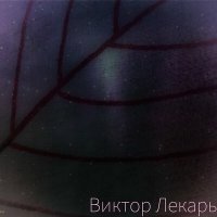 Скачать песню Виктор Лекарь - Эти розы для тебя