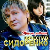 Скачать песню Вячеслав Сидоренко - Мне незабыть