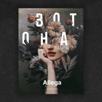 Скачать песню Allega - Вот она