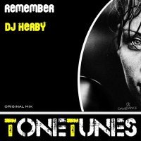Скачать песню DJ Herby - Remember