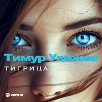 Скачать песню Тимур Увижев - Тигрица