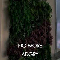 Скачать песню Adgry - No more