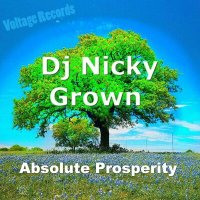 Скачать песню Nicky Grown - Absolute Prosperity