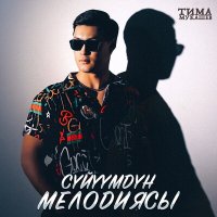 Скачать песню Тима Мукашев - Сүйүүмдүн мелодиясы