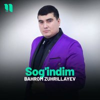 Скачать песню Bahrom Zuhrillayev - Sog'indim