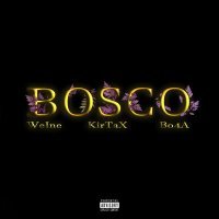 Скачать песню Weine, Kirtax, bo4a - bosco