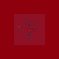 Скачать песню Црвених Цветова - Бисайд