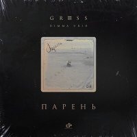 Скачать песню Gress, Dimma Urih - Парень