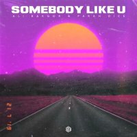 Скачать песню Ali Bakgor, Parah Dice - Somebody Like U