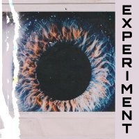 Скачать песню ROXS - Experiment