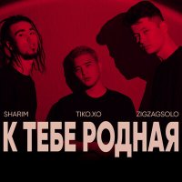 Скачать песню ZIGZAGSOLO, Tiko.XO, Sharim - К тебе, родная! (Remix)