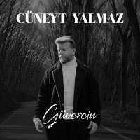 Скачать песню Cüneyt Yalmaz - Güvercin