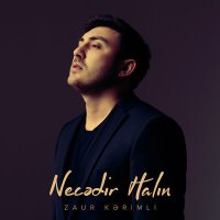 Скачать песню Zaur Kərimli - Necədir Halın