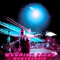 Скачать песню WERTRXSHIN - Wedning Night