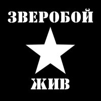 Скачать песню Зверобой - Кто я такой