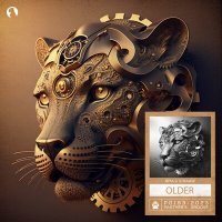 Скачать песню RMA, STRAAW - Older