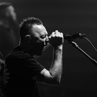 Звери слушать и скачать бесплатно